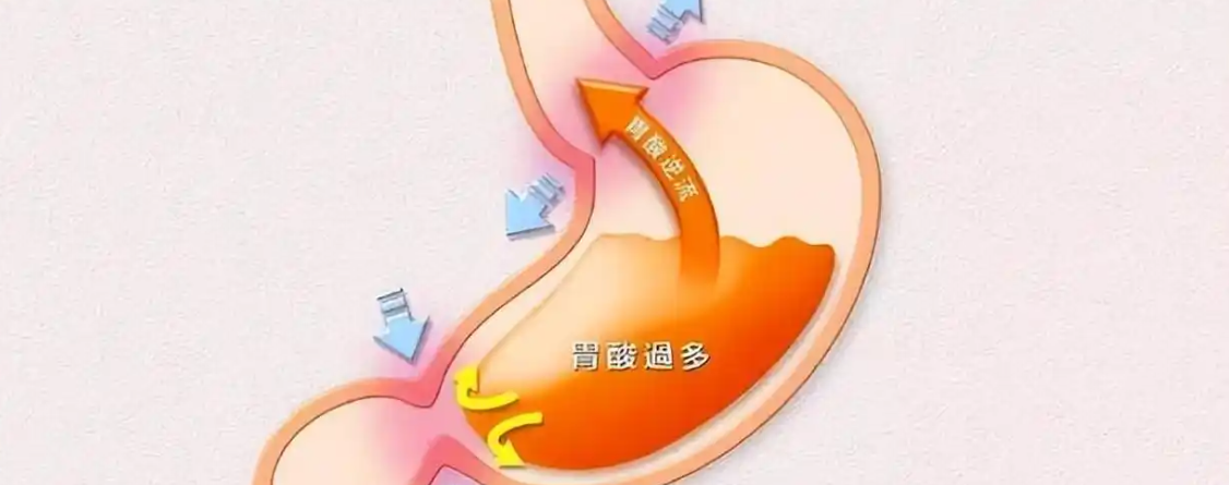 Pramlintide Acetate cells | Shaanxi BLOOM Tech Co., Ltd Pramlintide Acetate cells | Shaanxi BLOOM Tech Co., Ltd